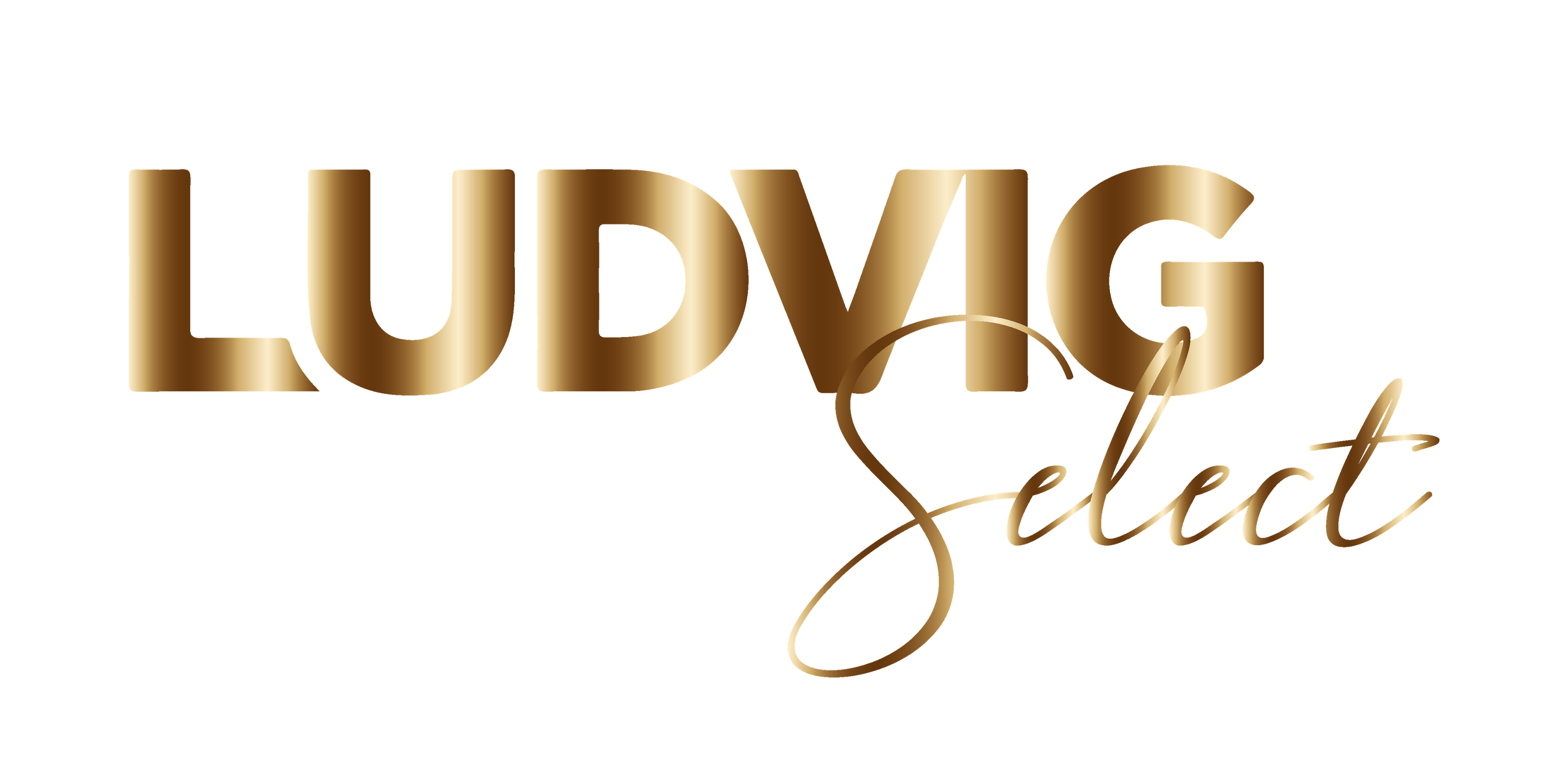 Logo Ludvig Select